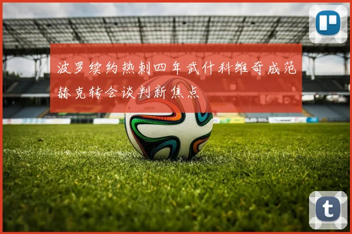 波罗续约热刺四年武什科维奇成范赫克转会谈判新焦点